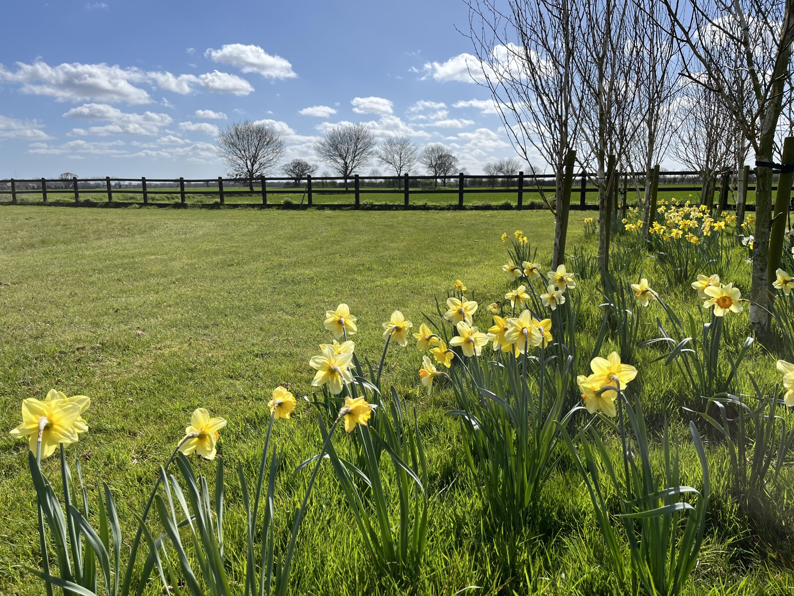 2026 Retreat Programme, Jan-June, Norfolk House